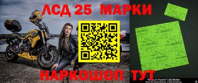 гидра Краснокаменск