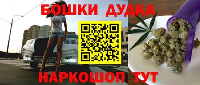 гидра Краснокаменск