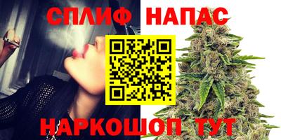 амф Краснознаменск