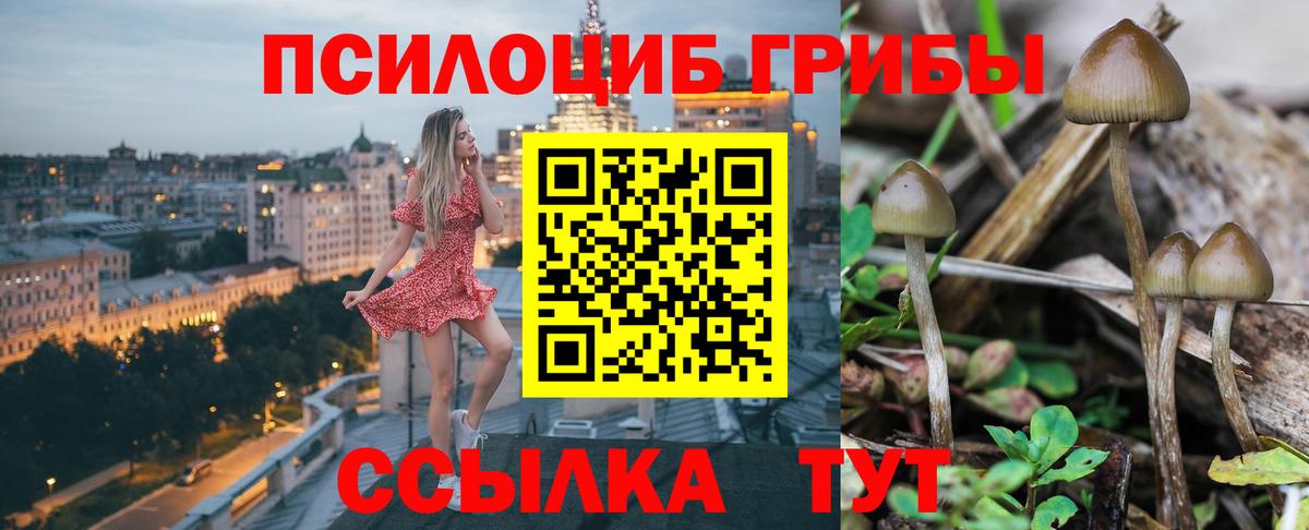 Галлюциногенные грибы мицелий  Псилоцибиновые грибы прущие грибы  Вход с VPN  Железноводск 